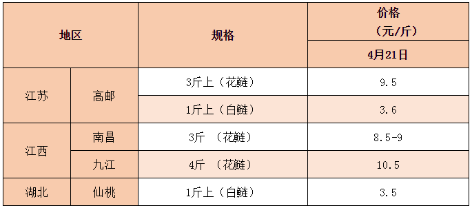 全国大缺鱼！淡水鱼价格一路飙新高，业者表示看好后市