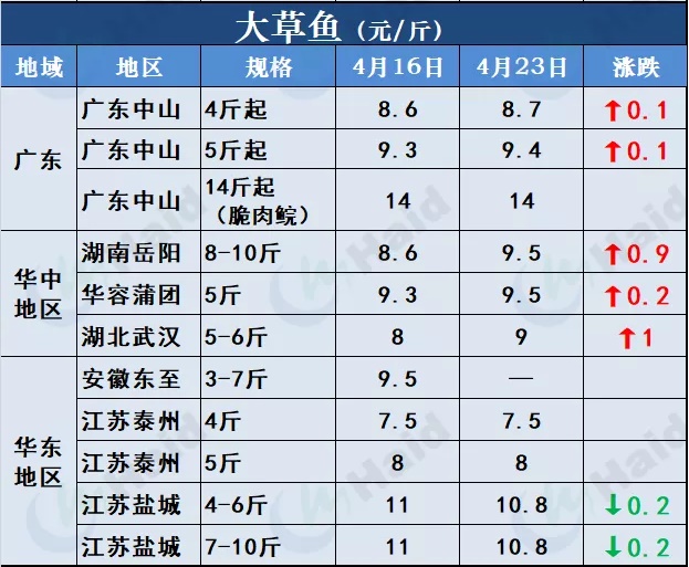 鱼价行情 | 全国严重缺鱼！多个品种价格一波一波的猛涨！