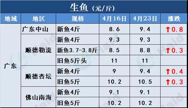 鱼价行情 | 全国严重缺鱼！多个品种价格一波一波的猛涨！