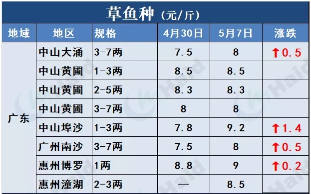 鱼价行情 | 全国缺鱼！草鱼涨势凶猛如“火箭”，其他品种也涨了吗？