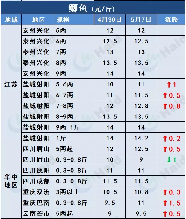 鱼价行情 | 全国缺鱼！草鱼涨势凶猛如“火箭”，其他品种也涨了吗？