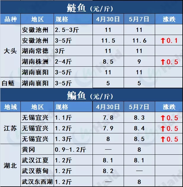 鱼价行情 | 全国缺鱼！草鱼涨势凶猛如“火箭”，其他品种也涨了吗？