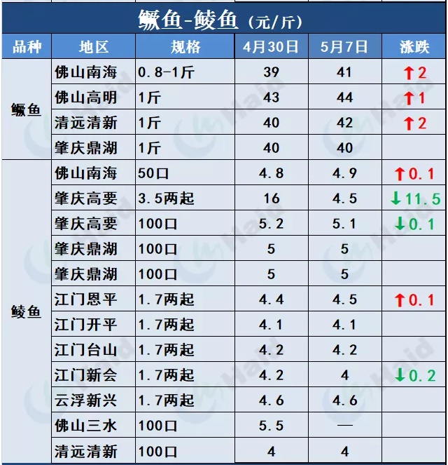 鱼价行情 | 全国缺鱼！草鱼涨势凶猛如“火箭”，其他品种也涨了吗？