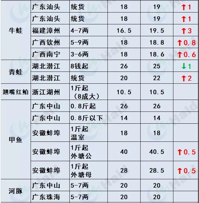 鱼价行情 | 全国缺鱼！草鱼涨势凶猛如“火箭”，其他品种也涨了吗？