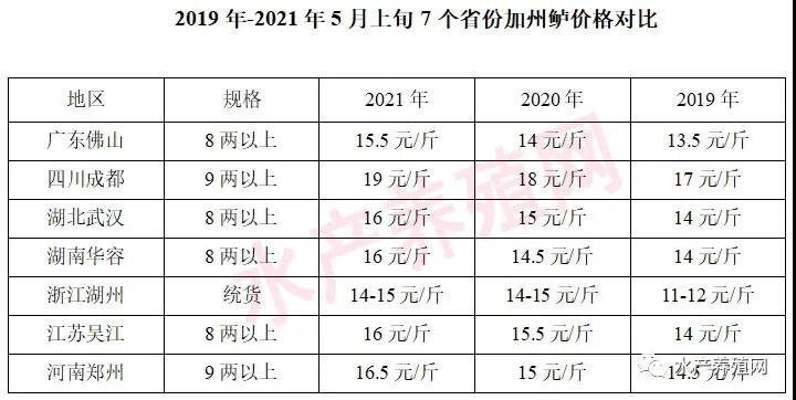 一枝独秀？养殖量大增，它却连续4年涨价，最高接近20元！这条“网红鱼”还能火几年