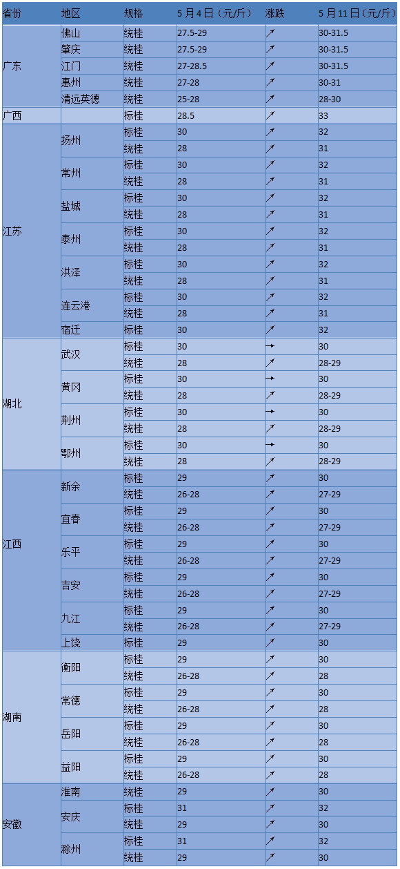 5月11日主产区最新鳜鱼塘口收购价：广东广西涨幅高达两块五一斤