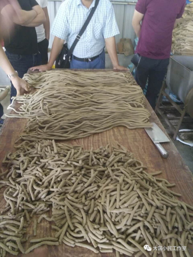 鳜鱼饲料也要来啦！能干掉24亿斤、100亿元饵料鱼，带给行业一场重大变革吗？