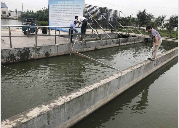 浙江湖州吴兴区跑道养殖鳜鱼首获成功