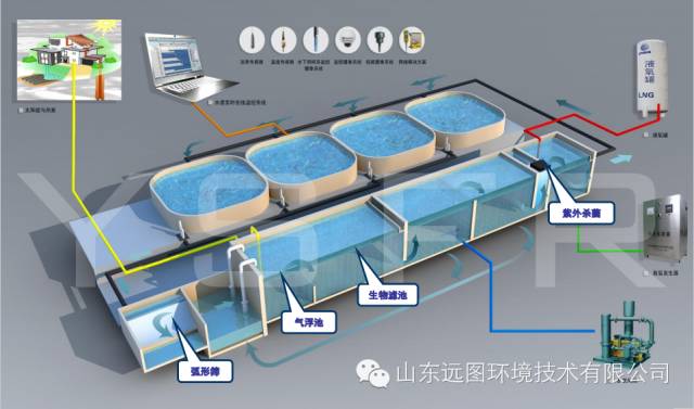 目前关于循环水养殖系统最详细的介绍，领悟了就是半个专家，敬请收藏！