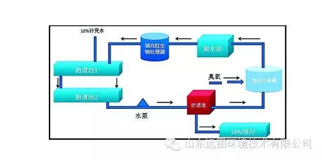 目前关于循环水养殖系统最详细的介绍，领悟了就是半个专家，敬请收藏！