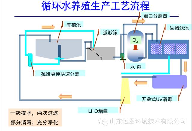 目前关于循环水养殖系统最详细的介绍，领悟了就是半个专家，敬请收藏！