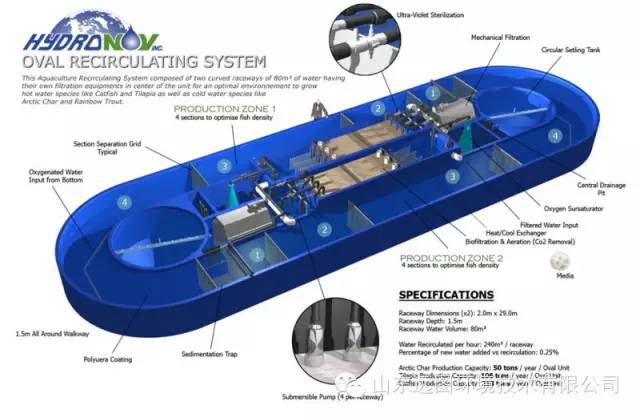 目前关于循环水养殖系统最详细的介绍，领悟了就是半个专家，敬请收藏！