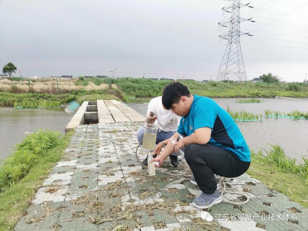 江苏省河蟹体系常熟推广示范基地多措并举全方位做好河蟹养殖指导服务工作