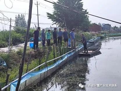 江苏省河蟹体系种质团队和养殖团队赴泗洪县开展产业帮扶活动