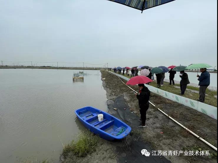 江苏省青虾体系苏州推广示范基地举办“虾蟹生态混养2.0模式”现场培训和观摩