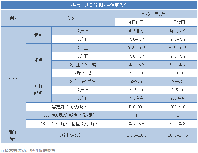 又涨价了！广东生鱼苗出事，多个标苗户全军覆没！市场缺鱼又缺苗！