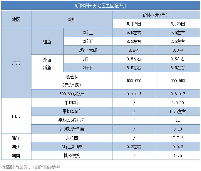 高温持续，生鱼硬骨白身增多，诺卡氏菌病也来了！鱼苗遭遇销售不畅…