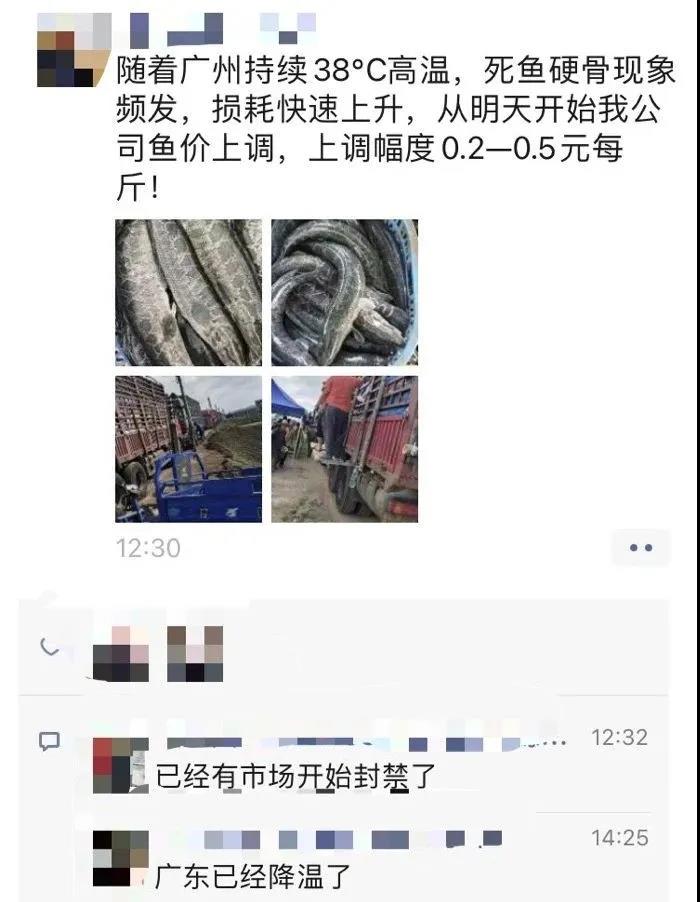 这条鱼狂跌1元/斤，有流通商准备要提价？