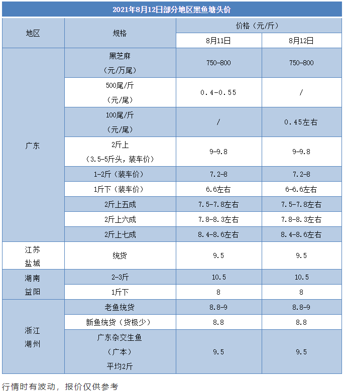 黑鱼大跌价，朝苗成了“烫手山芋”，“黑芝麻”也有价无市，标苗户无奈继续养