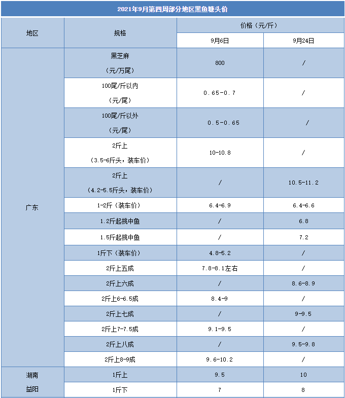 2斤上每增加一成，统货价上浮0.5元/斤！黑鱼越大越值钱，鱼中到处找鱼