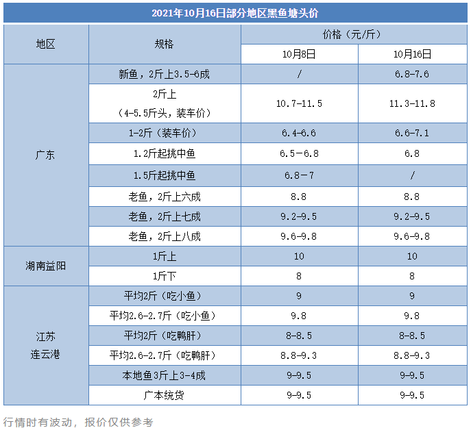 这条明星鱼开始上市，广东最高7.6元/斤，浙江的老鱼基本售罄！广东鱼价怎么走