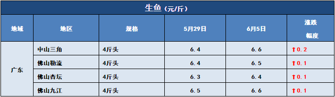 鱼价行情 | 多个品种全国跌！但这些鱼却一直在涨！你更看好哪些鱼？