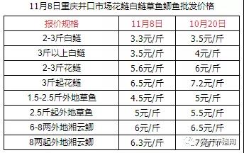 市场销量这么惨？草鱼鲫鱼鳊鱼又掉价了！