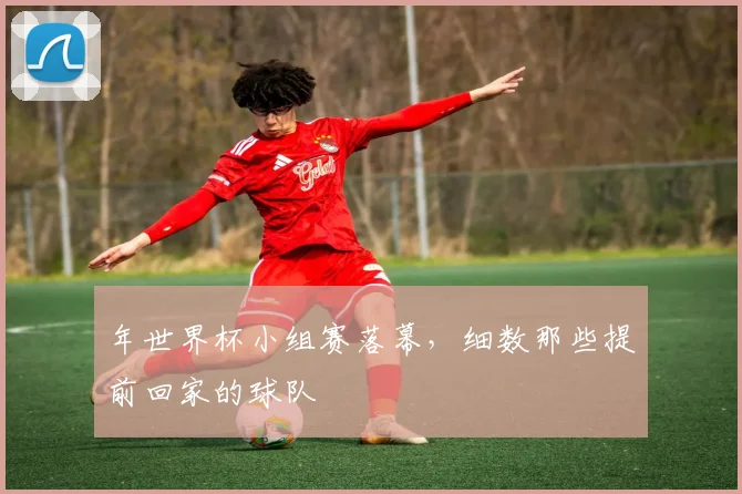 年世界杯小组赛落幕，细数那些提前回家的球队