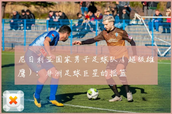 尼日利亚国家男子足球队（超级雄鹰）：非洲足球巨星的摇篮