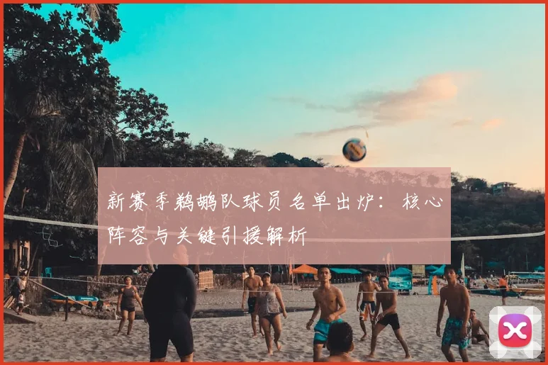 新赛季鹈鹕队球员名单出炉：核心阵容与关键引援解析