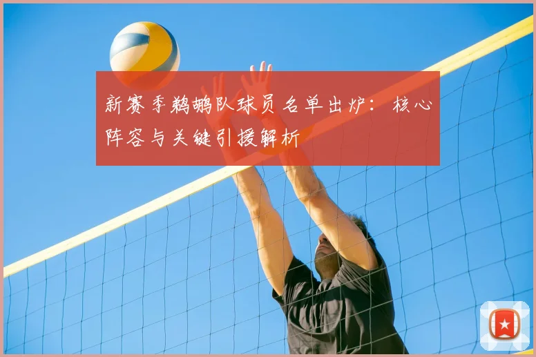 新赛季鹈鹕队球员名单出炉:核心阵容与关键引援解析