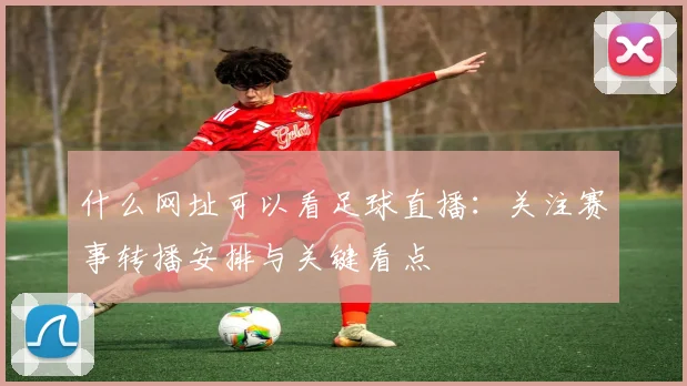 什么网址可以看足球直播：关注赛事转播安排与关键看点