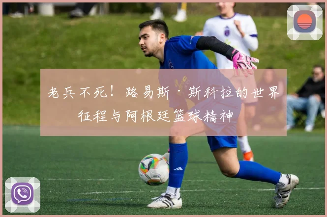 老兵不死!路易斯·斯科拉的世界杯征程与阿根廷篮球精神