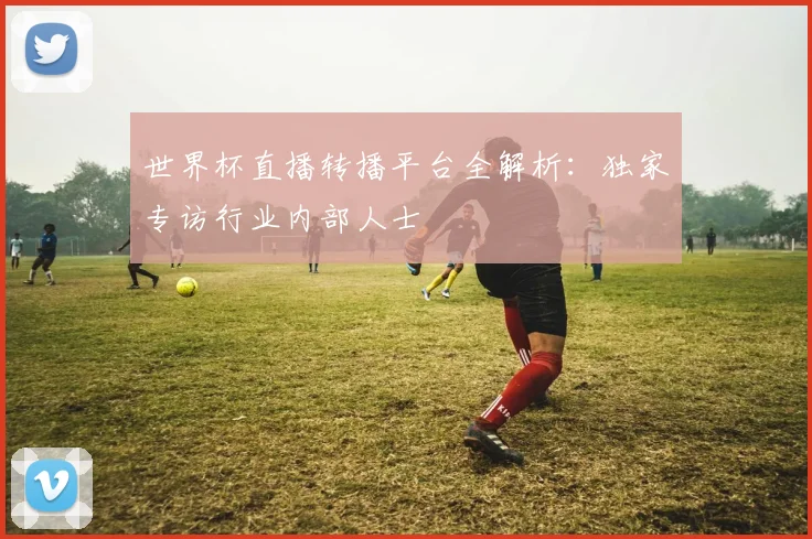 世界杯直播转播平台全解析：独家专访行业内部人士