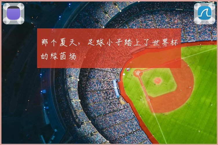 那个夏天,足球小子踏上了世界杯的绿茵场