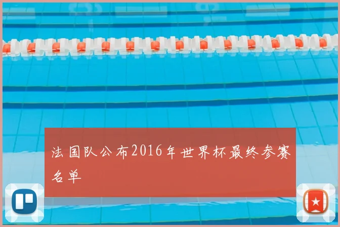法国队公布2016年世界杯最终参赛名单