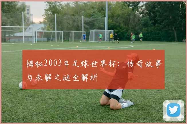 揭秘2003年足球世界杯：传奇故事与未解之谜全解析