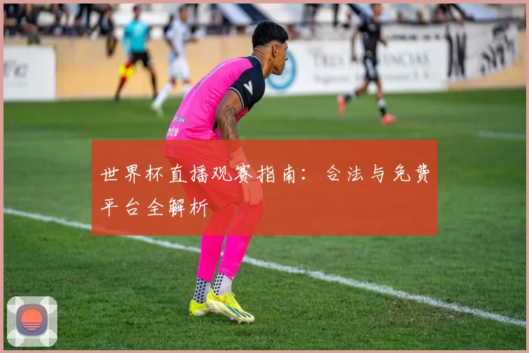 世界杯直播观赛指南：合法与免费平台全解析