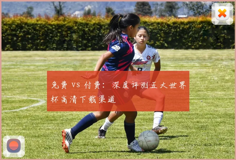 免费 vs 付费：深度评测五大世界杯高清下载渠道