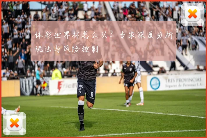 体彩世界杯怎么买?专家深度分析玩法与风险控制