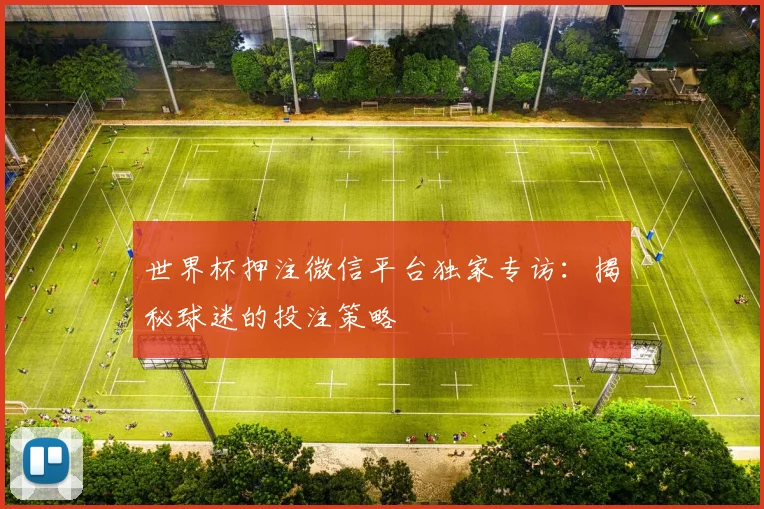 世界杯押注微信平台独家专访：揭秘球迷的投注策略