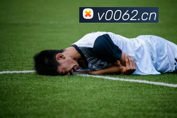 买球赛的网站宝平台生态图