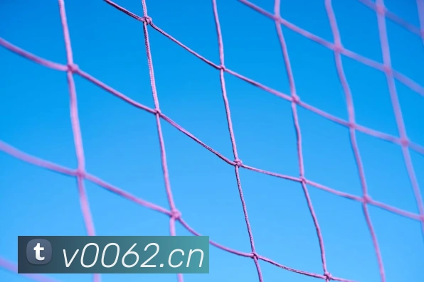 米乐yy易游官网服务体系